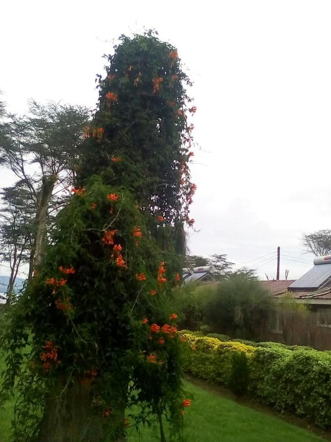 Hippo Safaris Resort Naivasha Exterior photo